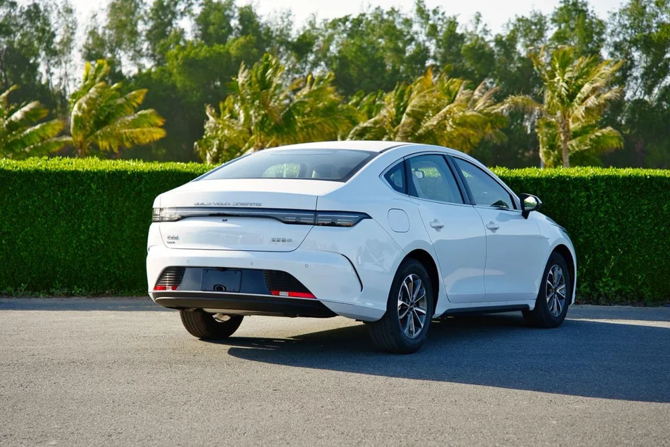 BYD Destroyer 05 2025 White - photo 11