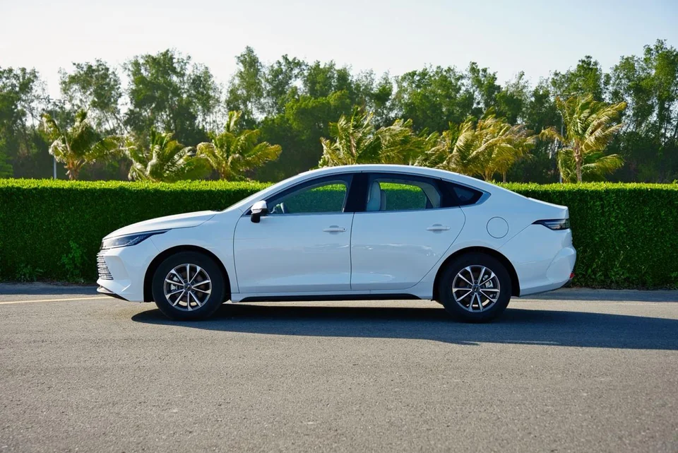 BYD Destroyer 05 2025 White - photo 13