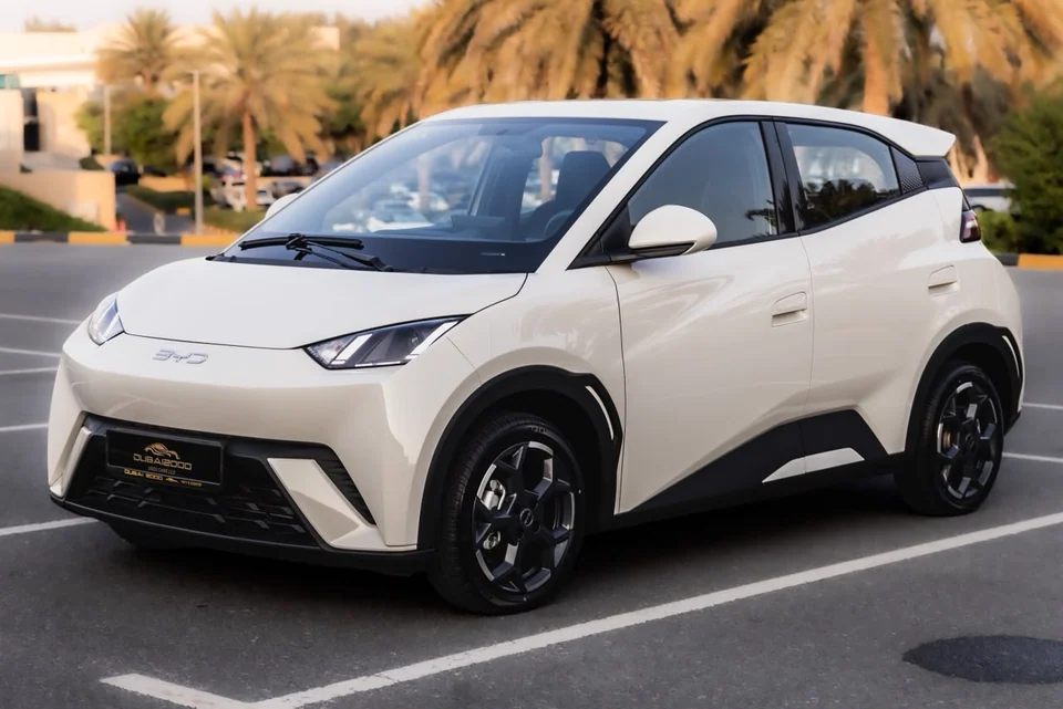 بي واي دي سيجال 2025 - صورة 15